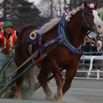 ばんえい競馬_角